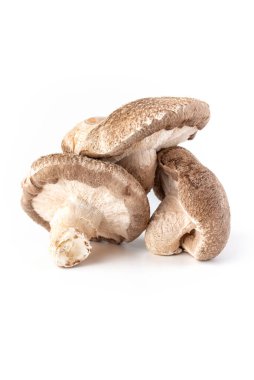 Shiitake mantarları Japon çiğ organik yemekleri.