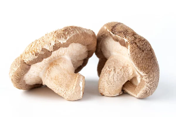 Lentinula Edodes Shiitake Medicinsvamp — Stockfoto