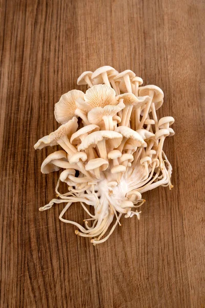 Enokitake Svamp Köksbräda Vinter Svamp Enoki — Stockfoto