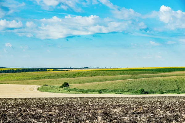 Landschaft Auf Den Feldern — Stockfoto