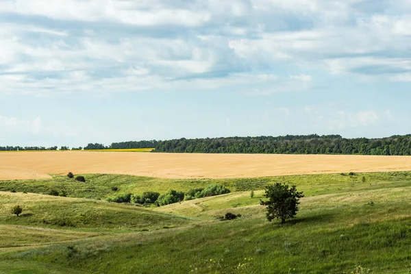 Paisaje Terrestre Ucraniano Verano —  Fotos de Stock