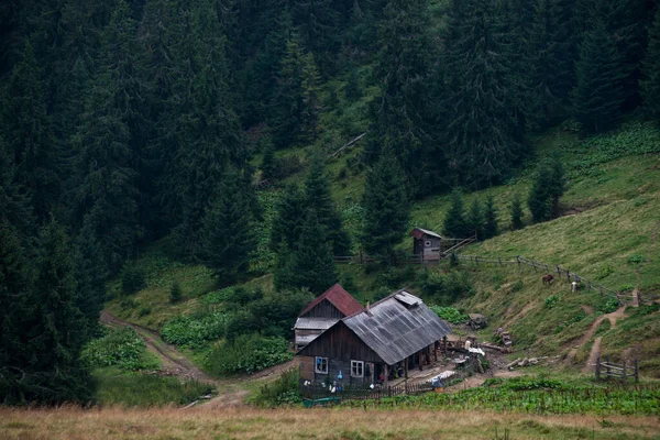 Cárpatos Pastores Casa Paisagem Nas Montanhas — Fotografia de Stock