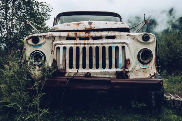 Abandoned Truck Rusty Cab Engulfed Nature — Stock Photo, Image