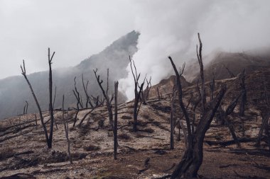 Endonezya 'da yanmış orman manzarası volkanik patlaması