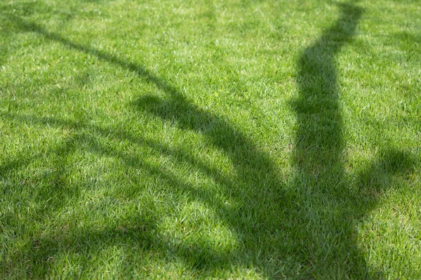 Spring Lawn Trees Tree Shade — Stock Photo, Image