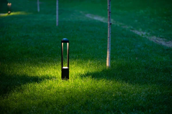 Освещение Саду Газонная Лампа Парка — стоковое фото