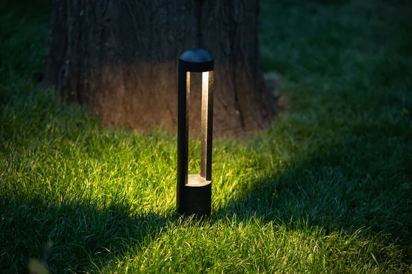 庭の照明 木の下の芝生の庭のランプ — ストック写真