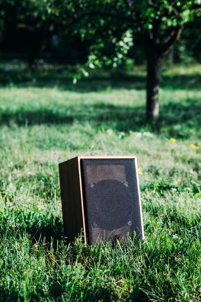 Altavoz Exterior Madera Aire Libre Tecnología Inalámbrica Verano — Foto de Stock