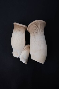 taze çiğ eringi organik mantarlar. 