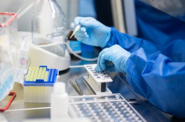 COVID-19 ve PCR Testi