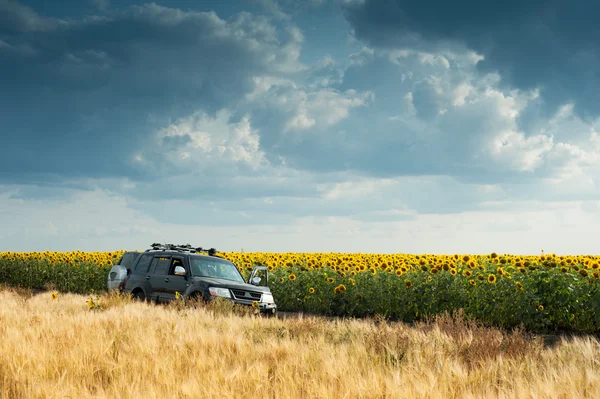 SUV in het veld — Stockfoto