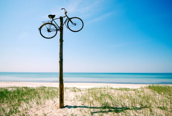 Sea shore beach sun — Stock Photo, Image