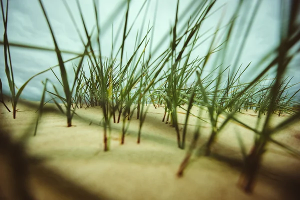 Detalles Océano frente a la costa — Foto de Stock