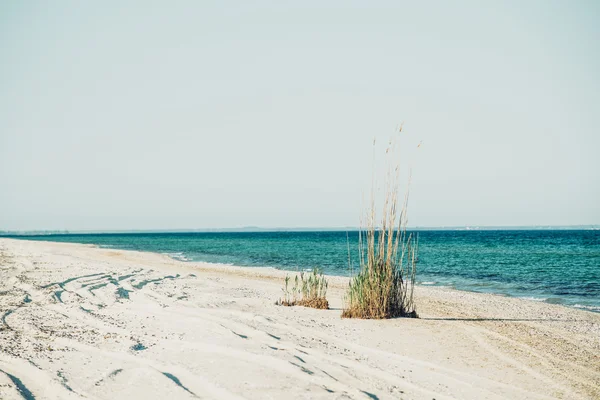 Coastal landscape, sandy beach, sun and sea — Stock Photo, Image