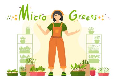 Mikroyeşil. Kız mikro yeşillik filizlenir, saksılarda filizlenir ve çiçek yetiştirilir.