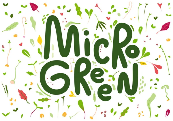 Microgreens Verdes Bebê Letras Logotipo Objetos Ilustração — Vetor de Stock