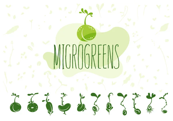 Microgreener Eller Baby Greener Groddar Och Frön Logotyp Illustration Bakgrund — Stock vektor