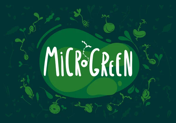 Microgreens Verdes Bebê Brotos Sementes Logotipo Ilustração Fundo — Vetor de Stock