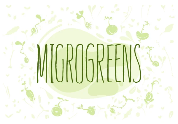 Microgreens Verdes Bebê Brotos Sementes Logotipo Ilustração Fundo — Vetor de Stock