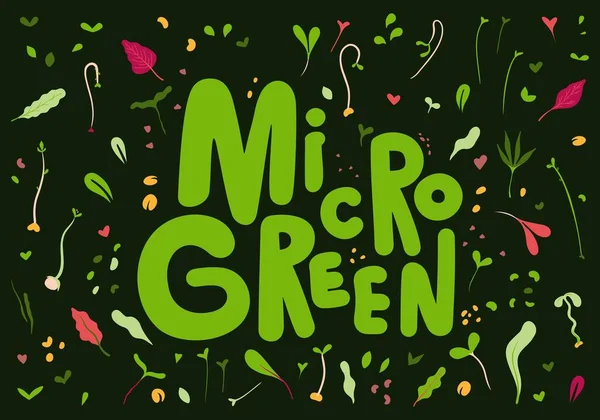 Microgreens Baby Greens Letras Logotipo Objetos Ilustración — Archivo Imágenes Vectoriales