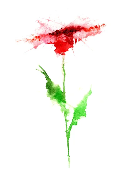 Stylized watercolor flowers — 스톡 사진