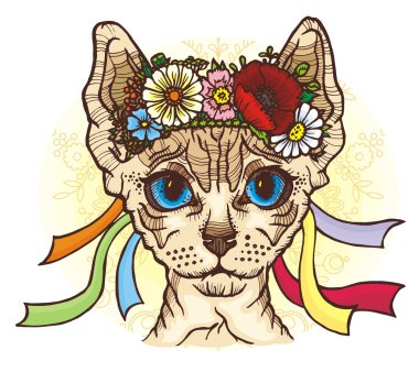 Ukrayna Ulusal çelenk Sphynx kedi