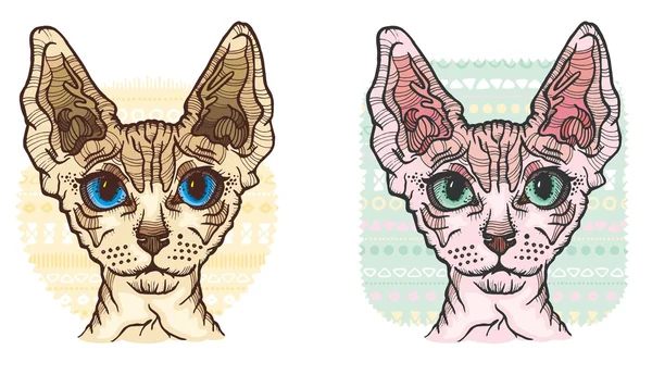 Sphynx cat vektor illustration — Stockvektor