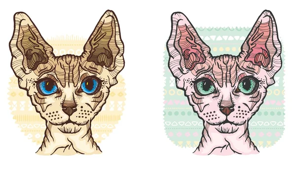 Illustration vectorielle chat Sphynx — Image vectorielle