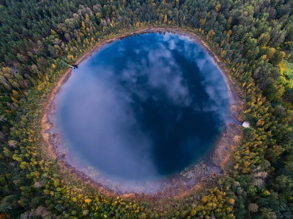 vertical view on a beautiful forest lake in forest in autumn