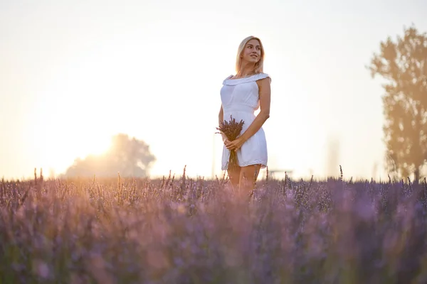 Meisje Het Lavendelveld Bij Zonsondergang — Stockfoto