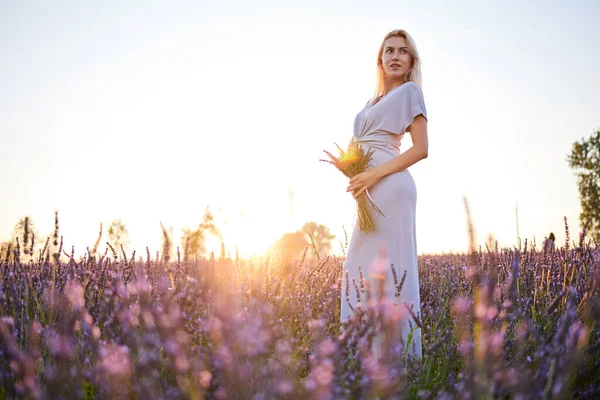 Flicka Lavendelfältet Vid Solnedgången — Stockfoto