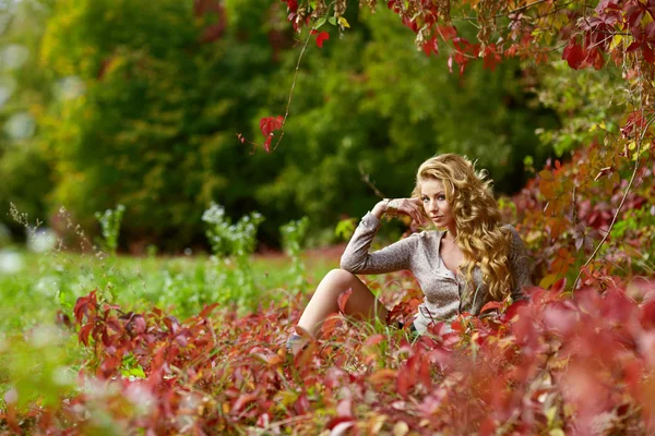 Bella giovane donna nel parco autunnale — Foto Stock