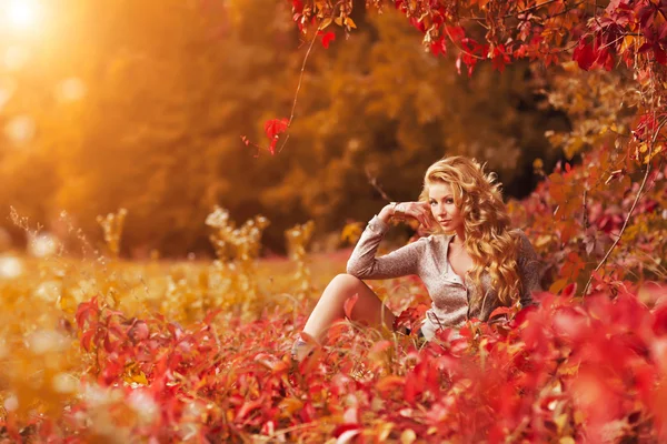 秋の公園で美しい若い女性が — ストック写真