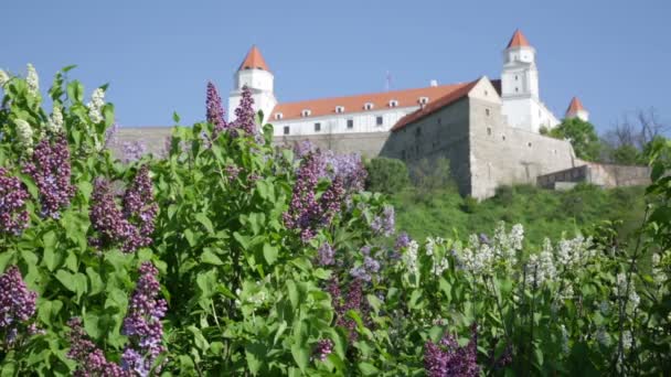 Kvetoucí šeříky proti středověkého hradu v Bratislavě