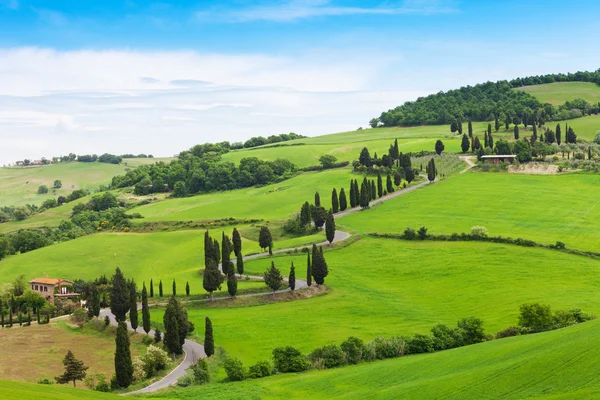 Landscape of Tuscany