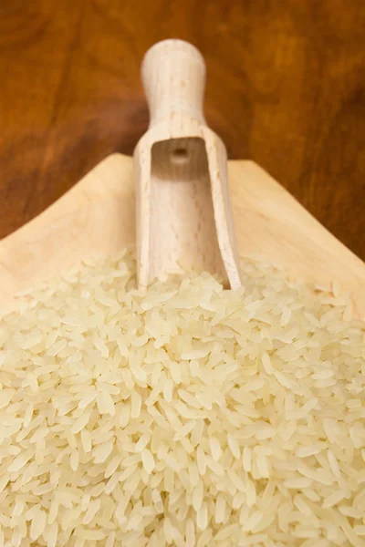 Close up on rice — Stock Photo, Image