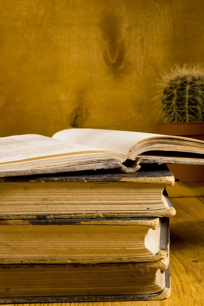 Stack of old books in a row — Stock Photo, Image