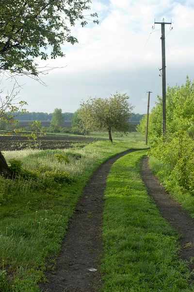 Road unpaved field — Stock Photo, Image