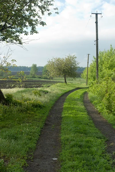 Strada campo non asfaltato — Foto Stock