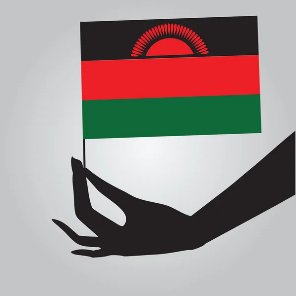 Hand with flag Malawi — Stock Vector