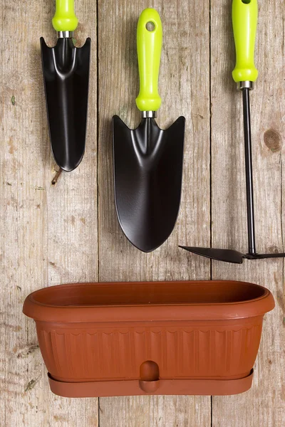 Plantes en pot et outils de jardin — Photo