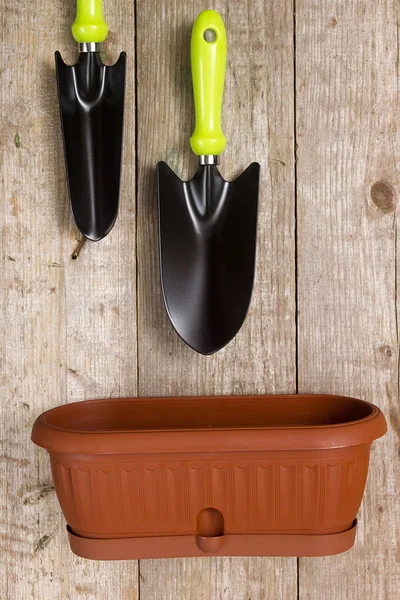 Plantes en pot et outils de jardin — Photo