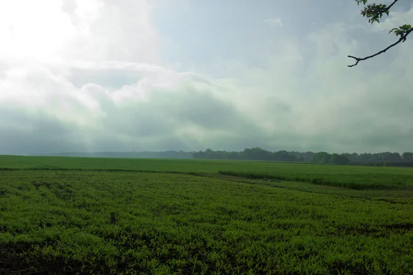 Lente rurale landschap — Stockfoto