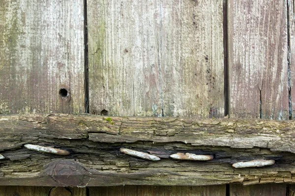 Fragment of a wooden old door — Stock Photo, Image