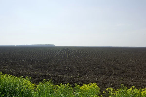 Imagen vibrante del paisaje rural —  Fotos de Stock