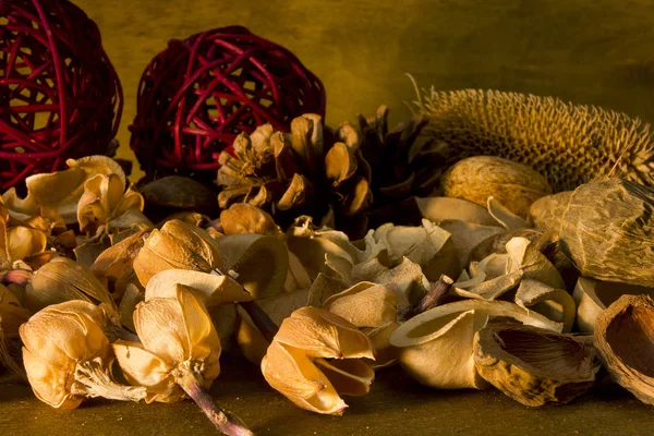 Aromatherapy potpourri dried plants and flowers nuts — Stock Photo, Image