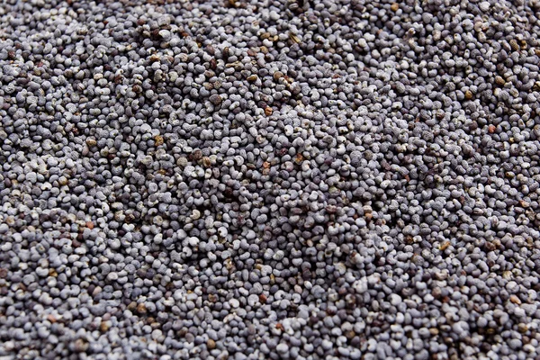 Poppy Seeds Background — Stock Photo, Image