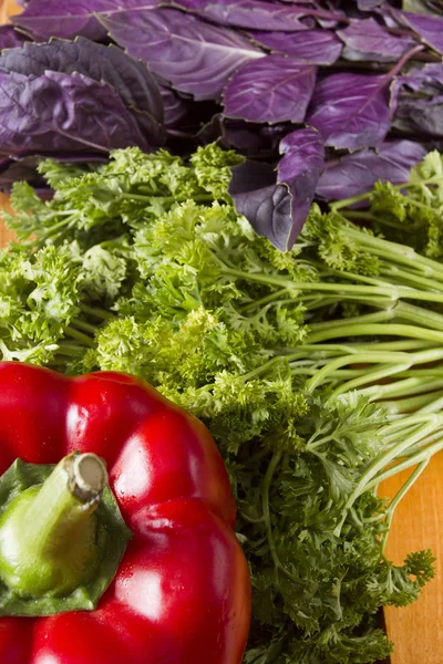 Produtos hortícolas e ervas frescas — Fotografia de Stock