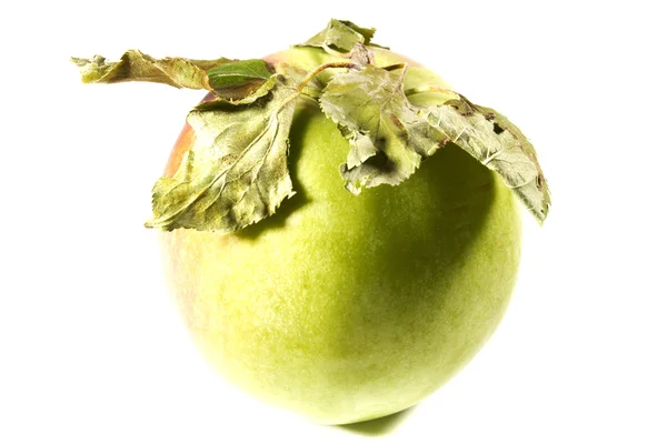 Fresh green apple — Stock Photo, Image