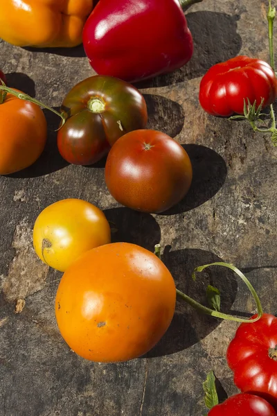 Red and yellow ripe tomatoes — Stock Photo, Image